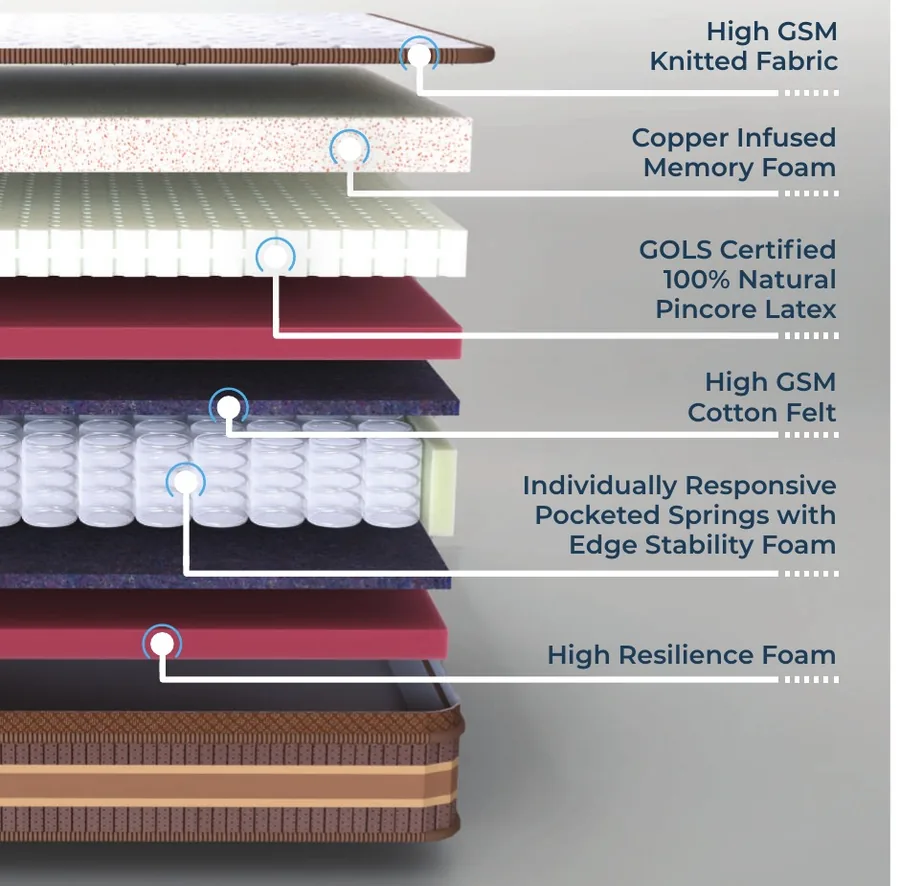 Catalogue cross-section illustration for Relaxwell Cosmos