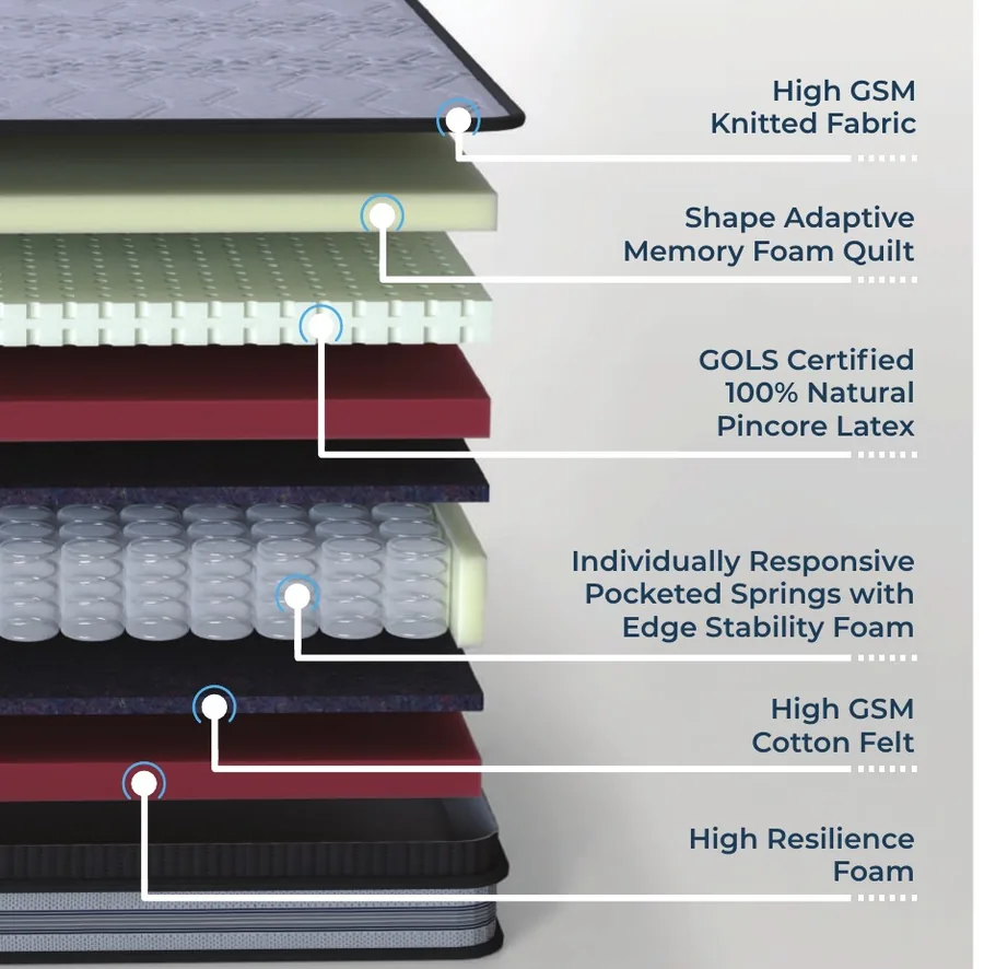 Catalogue cross-section illustration for Relaxwell Maxima