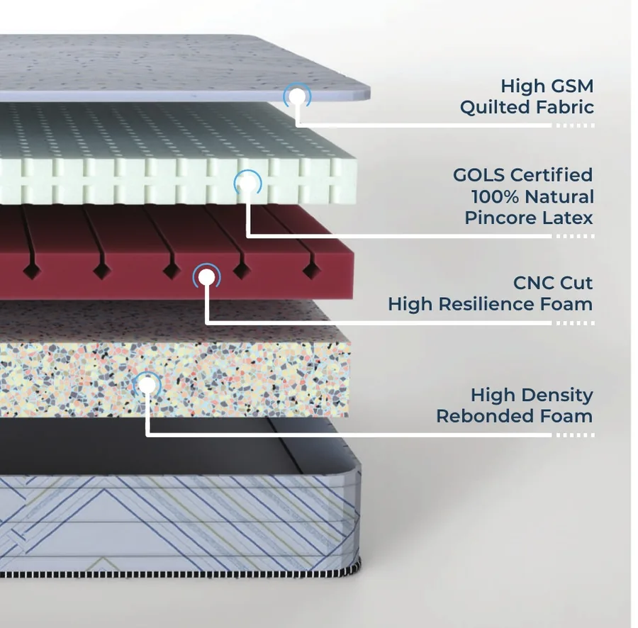 Catalogue cross-section illustration for Relaxwell Ortho A1 Latex